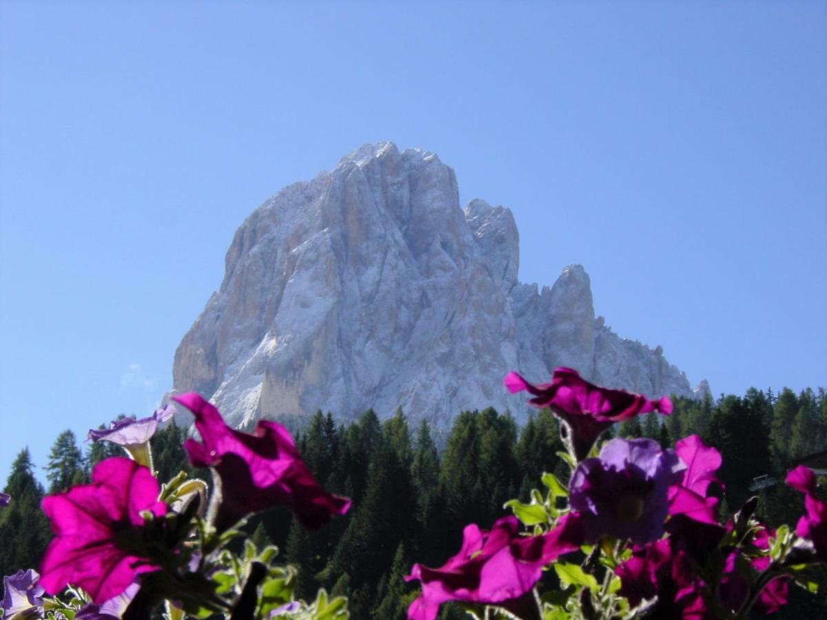 B&B Aretia Santa Cristina Val Gardena Luaran gambar